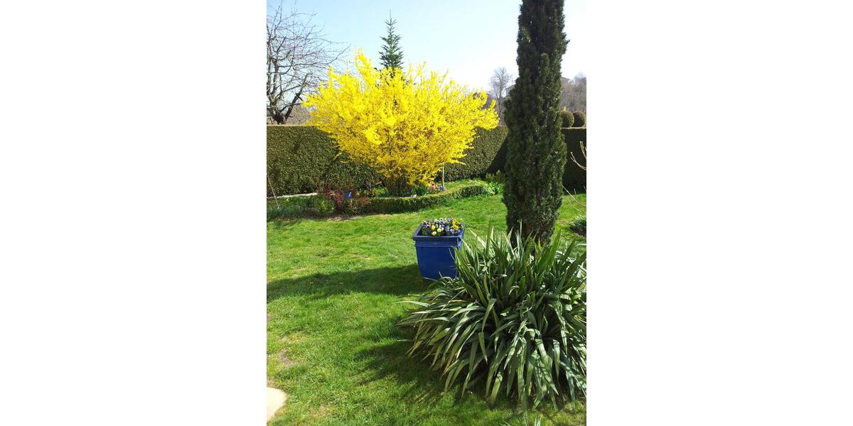 Villa Bad Griesbach im Rottal - 7 Zimmer, 220 m&sup2;, 940.000&euro; | Angebot:25963454