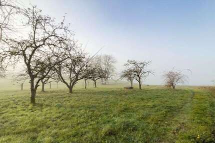Grundstück Hauzenberg - 90.000&euro; | Angebot:24371873