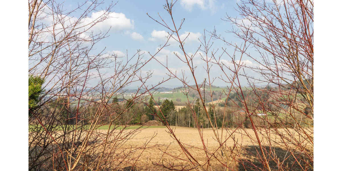 Einfamilienhaus Büchlberg Denkhof - 5 Zimmer, 146 m&sup2;, 265.000&euro; | Angebot:25929657