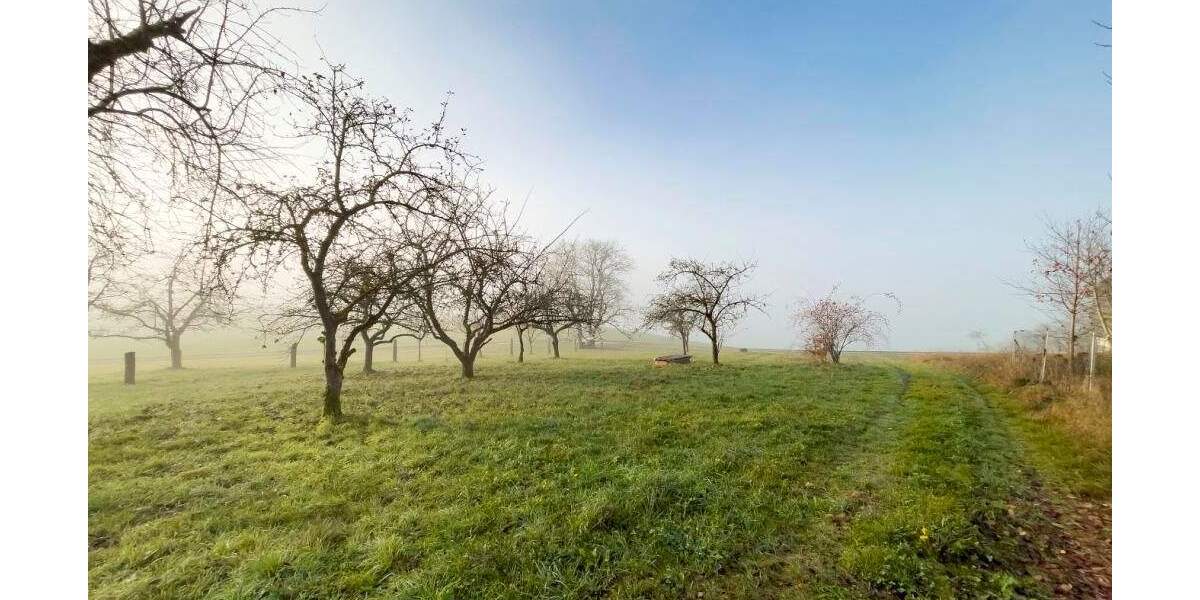 Grundstück Hauzenberg Raßberg - 90.000&euro; | Angebot:25688097