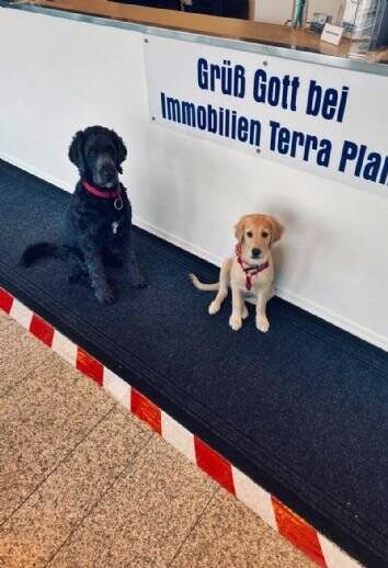 Etagenwohnung Passau Haidenhof-Nord - 4 Zimmer, 119 m&sup2;, 350.000&euro; | Angebot:25802143