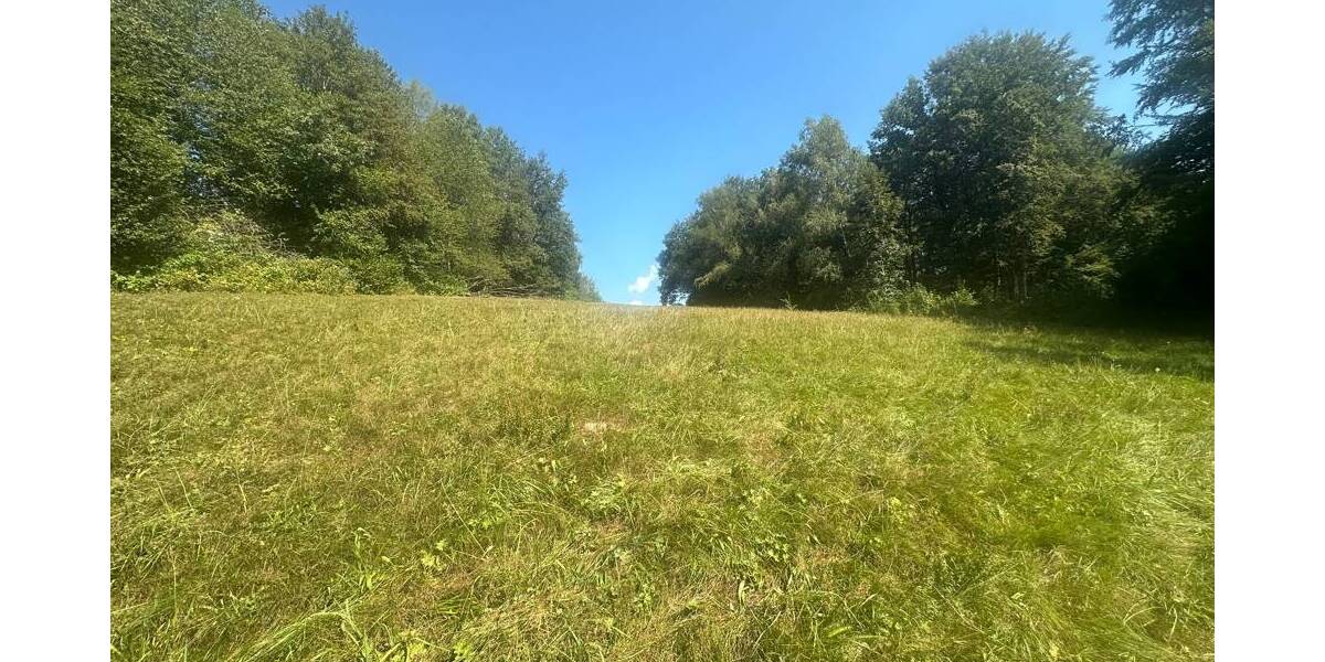 Grundstück Freyung - 398.000&euro; | Angebot:25708664