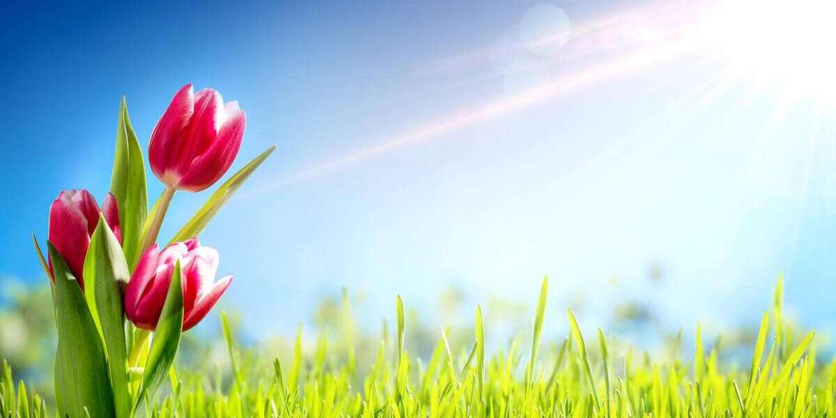 Grundstück Freyung - 349.000&euro; | Angebot:25872251