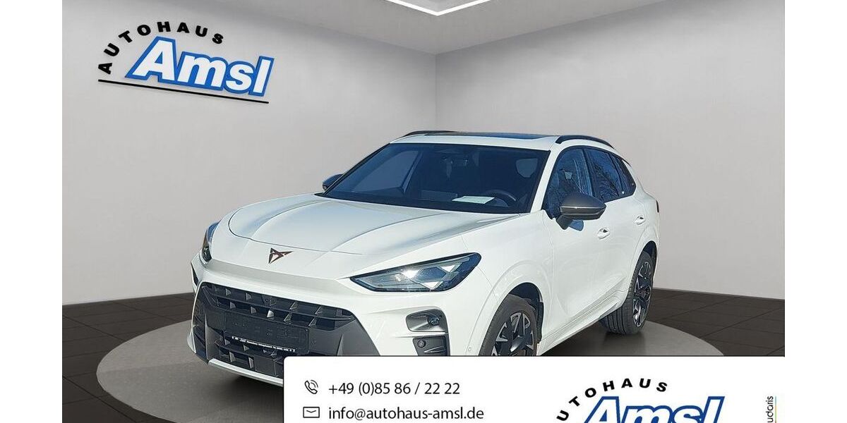 Cupra Terramar 12.500 km 39.790 &euro; Hauzenberg 94051