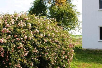 Haus Egglham - 5 Zimmer, 147 m&sup2;, 890.000&euro; | Angebot:25441118