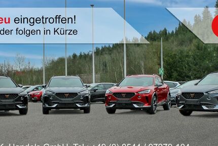 Seat Leon 40.153 km 24.990 &euro; Aicha 94529