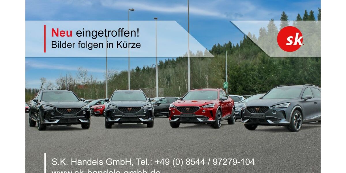 Seat Leon 40.153 km 24.990 &euro; Aicha 94529