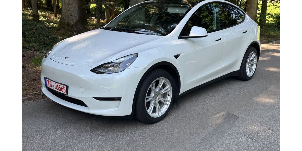 Tesla Model Y 67.000 km 32.900 &euro; Außernzell 94532