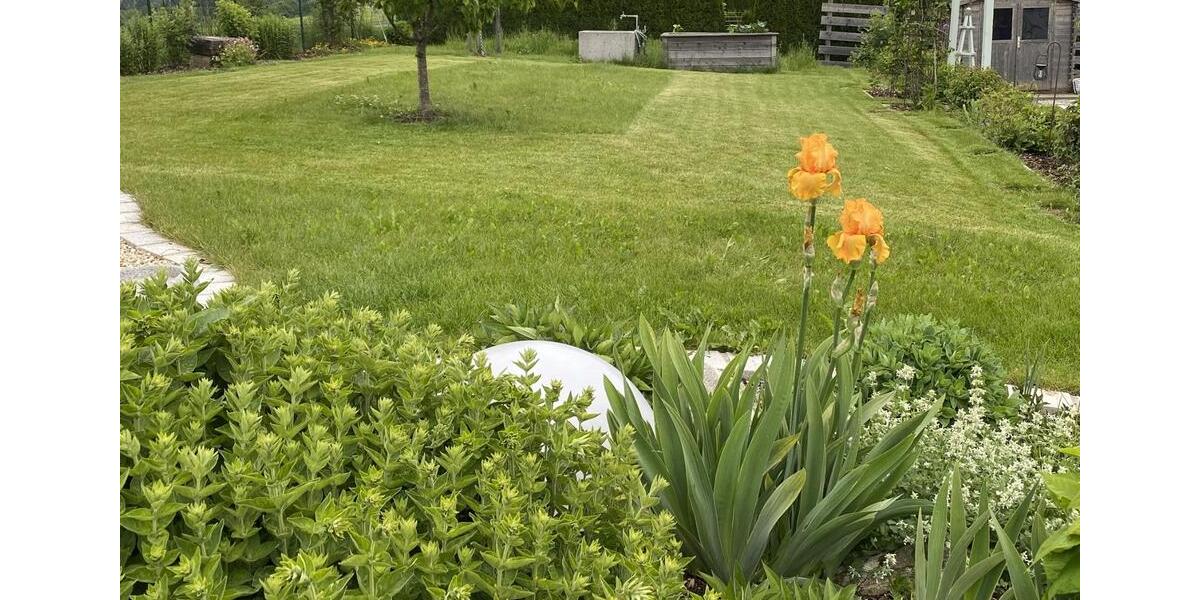 Einfamilienhaus Waldkirchen - 6 Zimmer, 190 m&sup2;, 934.000&euro; | Angebot:25435660