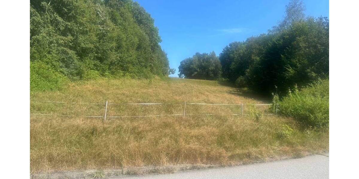 Grundstück Freyung - 398.000&euro; | Angebot:25708664