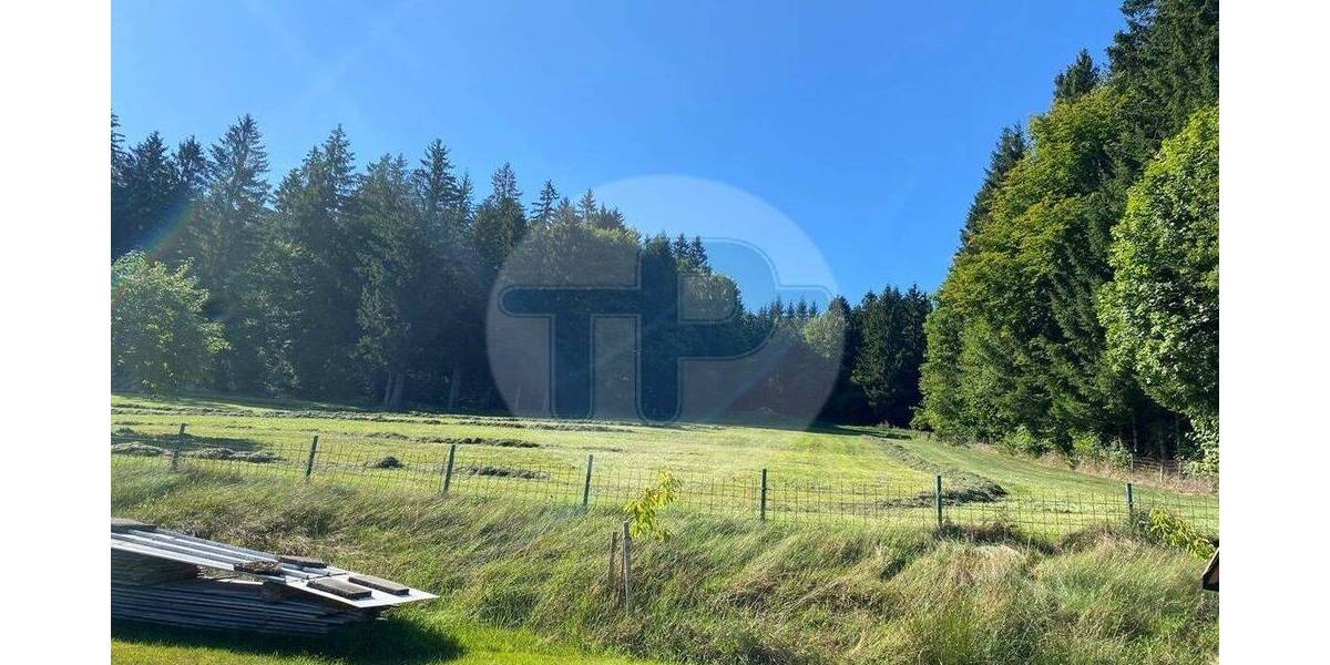 Mehrfamilienhaus, Wohnhaus Freyung Winkelbrunn - 7 Zimmer, 300 m&sup2;, 485.000&euro; | Angebot:25703913