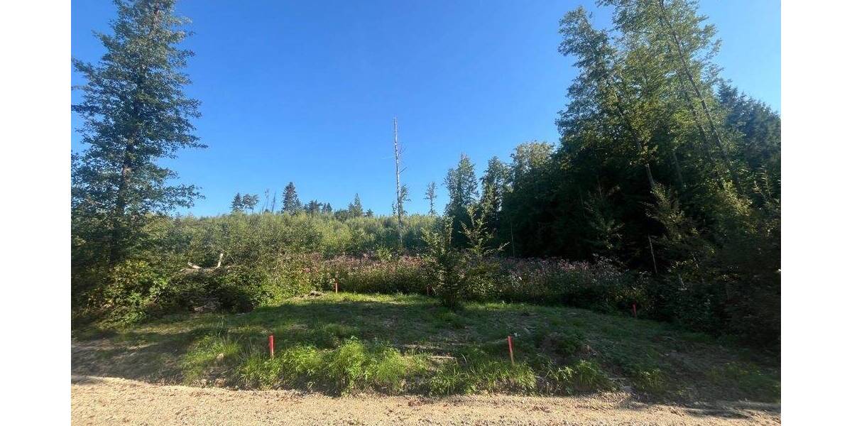 Grundstück Tiefenbach Oberhaselbach - 50.000&euro; | Angebot:25685420