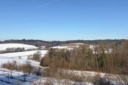 Wohnung Bad Griesbach im Rottal - 2 Zimmer, 65 m&sup2;, 230.000&euro; | Angebot:25992101