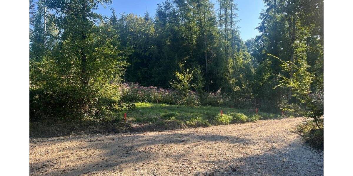 Grundstück Tiefenbach Oberhaselbach - 50.000&euro; | Angebot:25685420