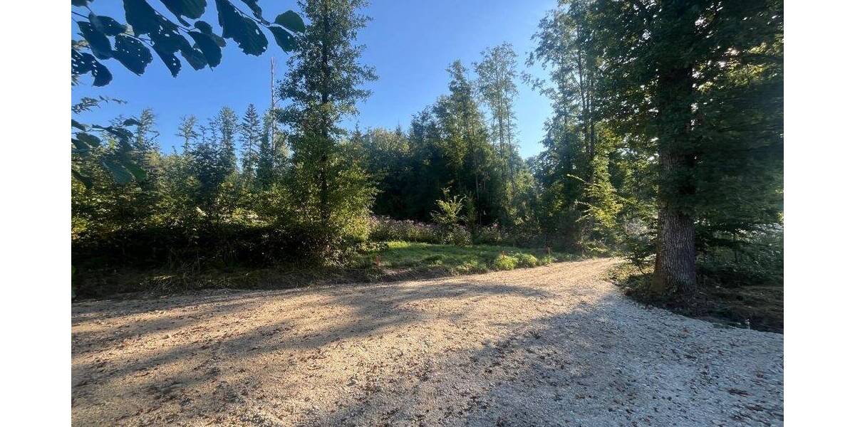 Grundstück Tiefenbach Oberhaselbach - 50.000&euro; | Angebot:25685420