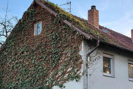 Haus Ruhstorf an der Rott - 6 Zimmer, 150.000&euro; | Angebot:22164652