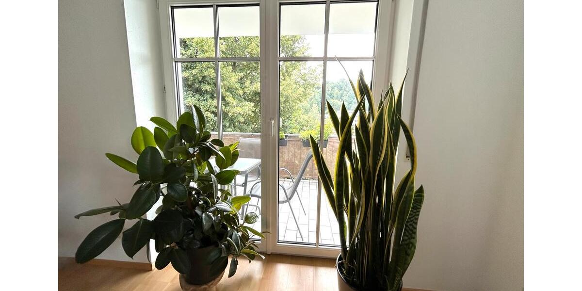 Etagenwohnung Ortenburg - 3 Zimmer, 75 m&sup2;, 199.999&euro; | Angebot:24559782