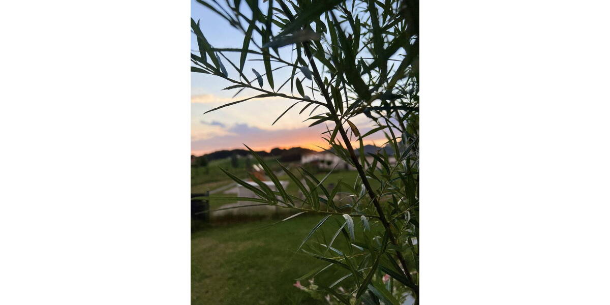 Einfamilienhaus Fürstenstein - 6 Zimmer, 152 m&sup2;, 589.000&euro; | Angebot:25713707