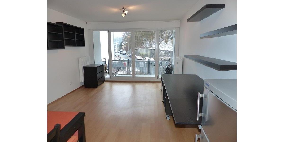 Etagenwohnung Passau Auerbach - 1 Zimmer, 35 m&sup2;, 470&euro; | Angebot:25881274