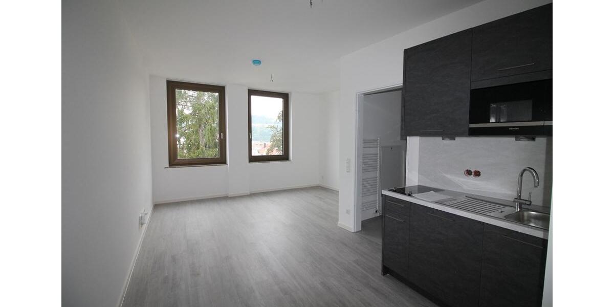 Etagenwohnung Passau Mühltal - 1 Zimmer, 28 m&sup2;, 450&euro; | Angebot:25988929