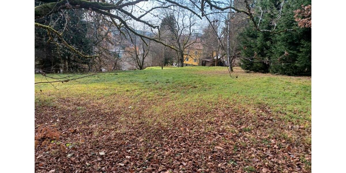 Villa Freyung - 10 Zimmer, 300 m&sup2;, 495.000&euro; | Angebot:24826632