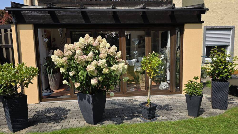 Mehrfamilienhaus, Wohnhaus Obernzell Haar - 1 Zimmer, 245 m&sup2;, 398.900&euro; | Angebot:25672829