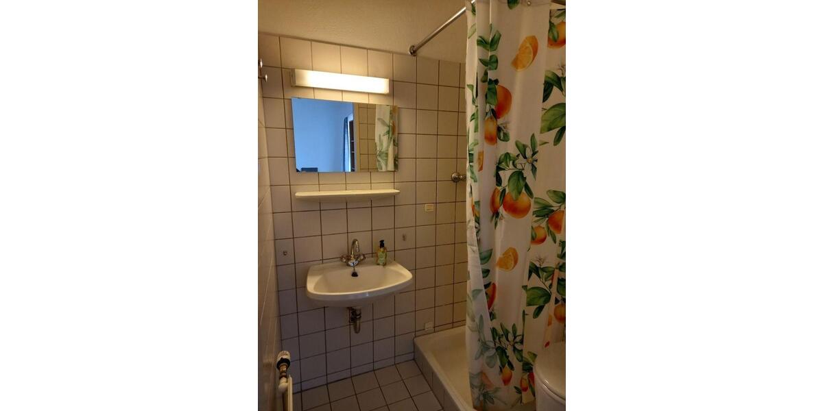 Etagenwohnung Passau Mühltal - 1 Zimmer, 19 m&sup2;, 221&euro; | Angebot:23990281