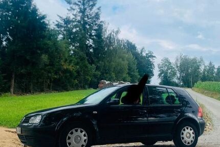 VW Golf 217.260 km 2.500 &euro; Obernzell 94130