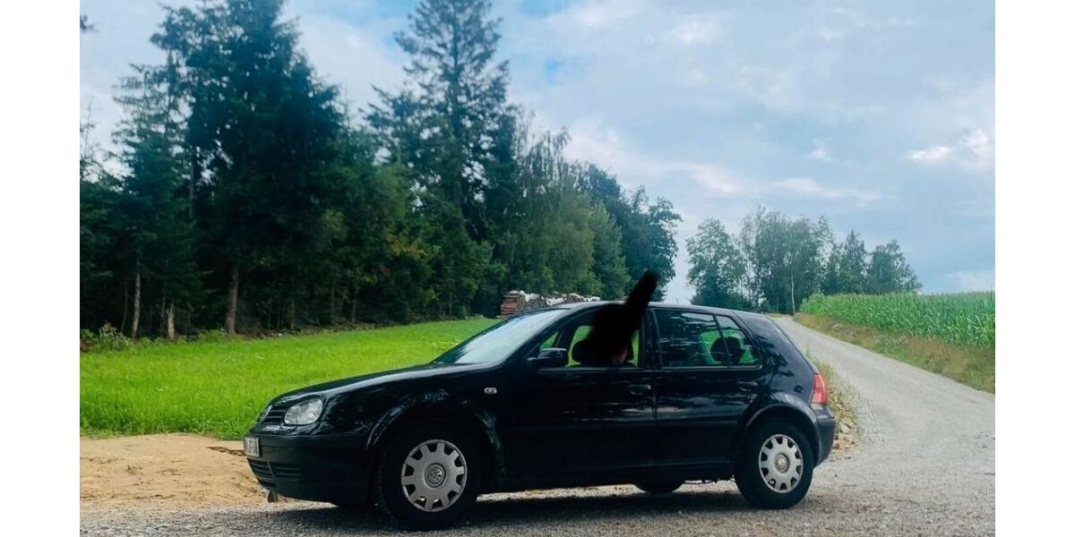 VW Golf 217.260 km 2.500 &euro; Obernzell 94130