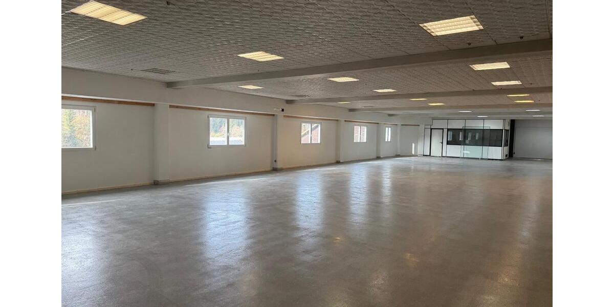 Gewerbeobjekt Hutthurm - 1.650&euro; | Angebot:25105644