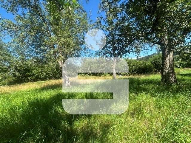 Grundstück Waldkirchen - 150.000&euro; | Angebot:25377428