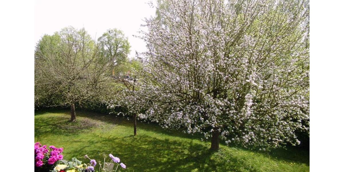 Etagenwohnung Pocking - 1 Zimmer, 35 m&sup2;, 113.000&euro; | Angebot:25329272