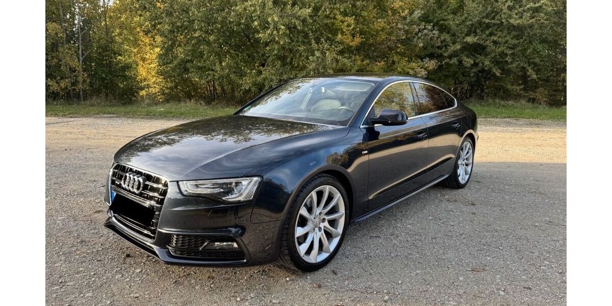 Audi A5 162.000 km 14.999 &euro; Aldersbach 94501