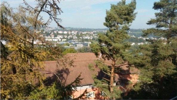 Dachgeschoßwohnung Passau Mühltal - 1 Zimmer, 18 m&sup2;, 315&euro; | Angebot:26000189