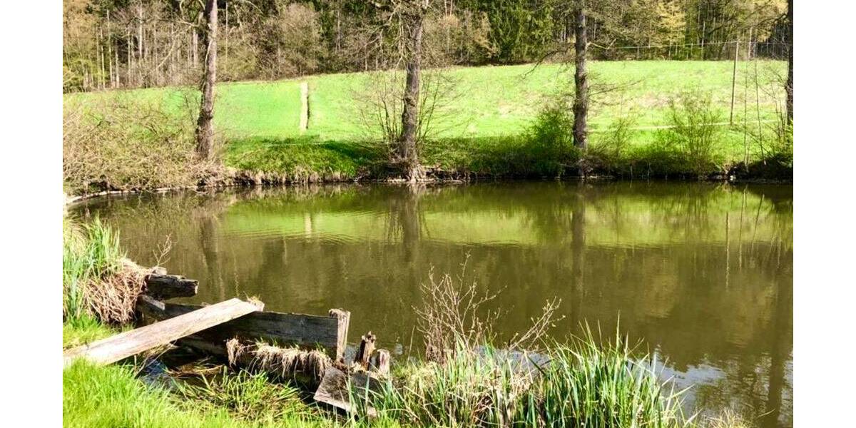 Bauernhaus, Landhaus Ortenburg Kamm - 8 Zimmer, 140 m&sup2;, 400.000&euro; | Angebot:25678464