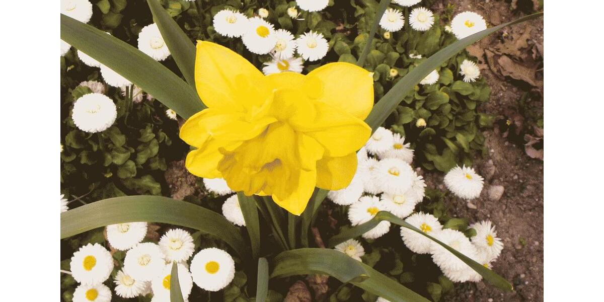 Etagenwohnung Bad Füssing - 3 Zimmer, 80 m&sup2;, 299.000&euro; | Angebot:26034104