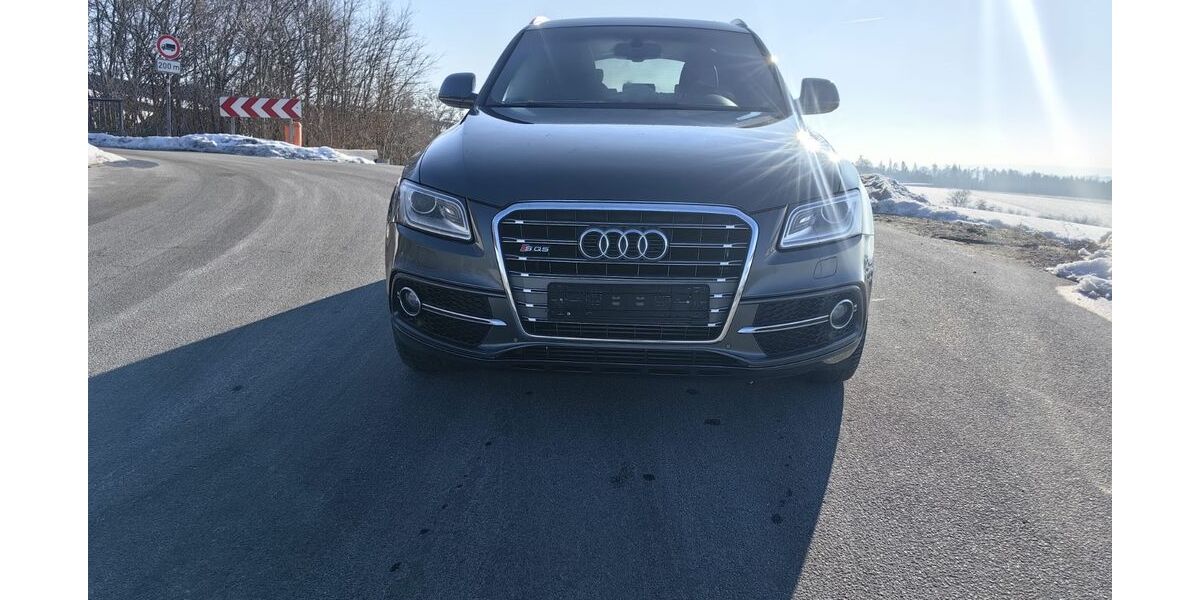 Audi SQ5 333.110 km 15.600 &euro; Salzweg 94121