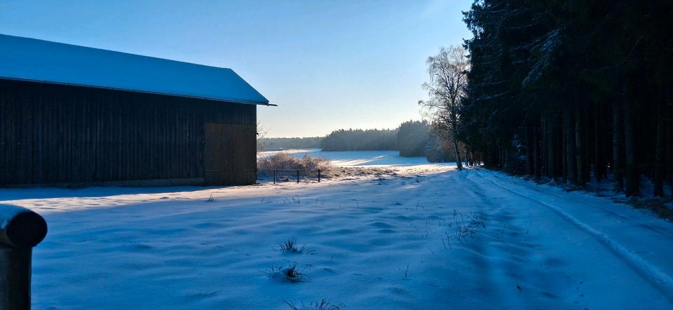 Einfamilienhaus Egglham - 5 Zimmer, 147 m&sup2;, 890.000&euro; | Angebot:25441118