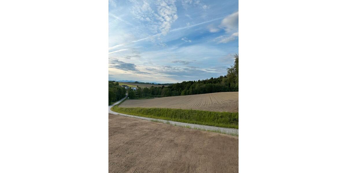 Reihenhaus Hofkirchen - 4 Zimmer, 124 m&sup2;, 1.350&euro; | Angebot:26614456