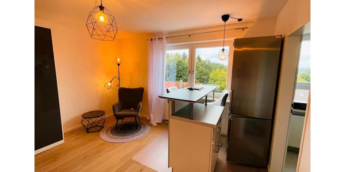 Etagenwohnung Passau Auerbach - 1 Zimmer, 28 m&sup2;, 500&euro; | Angebot:25175805