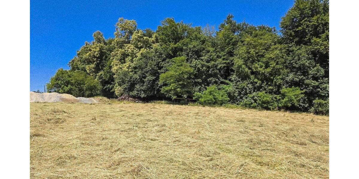 Grundstück Künzing Forsthart - 210.000&euro; | Angebot:25663193