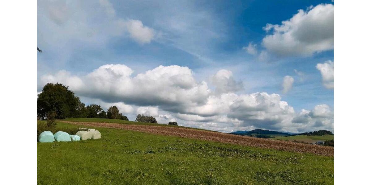 Bauernhaus, Landhaus Waldkirchen - 6 Zimmer, 275.000&euro; | Angebot:14351937