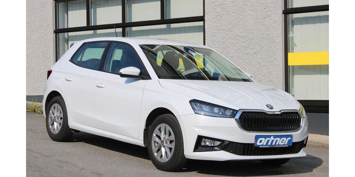 Skoda Fabia 52.700 km 12.380 &euro; Passau 94036