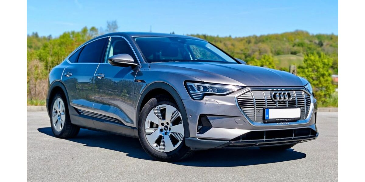 Audi e-tron 116.000 km 26.900 &euro; Passau 94036