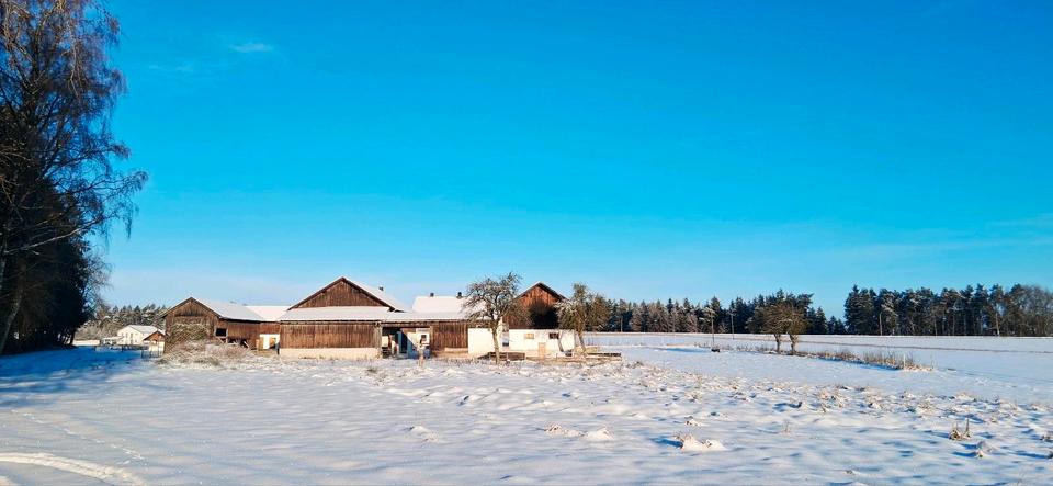 Einfamilienhaus Egglham - 5 Zimmer, 147 m&sup2;, 890.000&euro; | Angebot:24994380