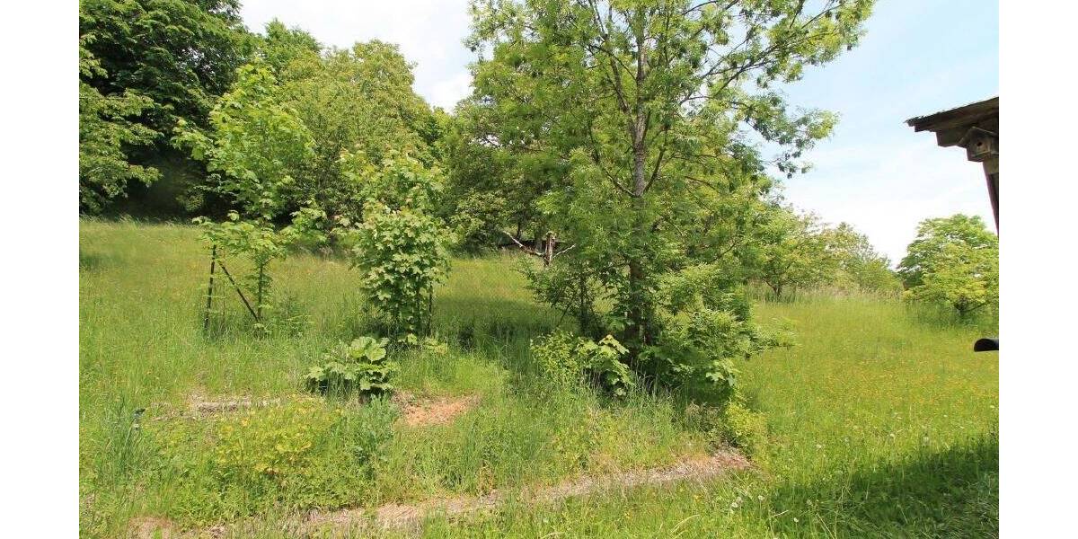 Mehrfamilienhaus, Wohnhaus Ringelai Neidberg - 1 Zimmer, 160 m&sup2;, 215.000&euro; | Angebot:25699675