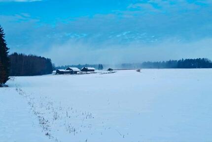 Haus Egglham - 5 Zimmer, 147 m&sup2;, 890.000&euro; | Angebot:24994380