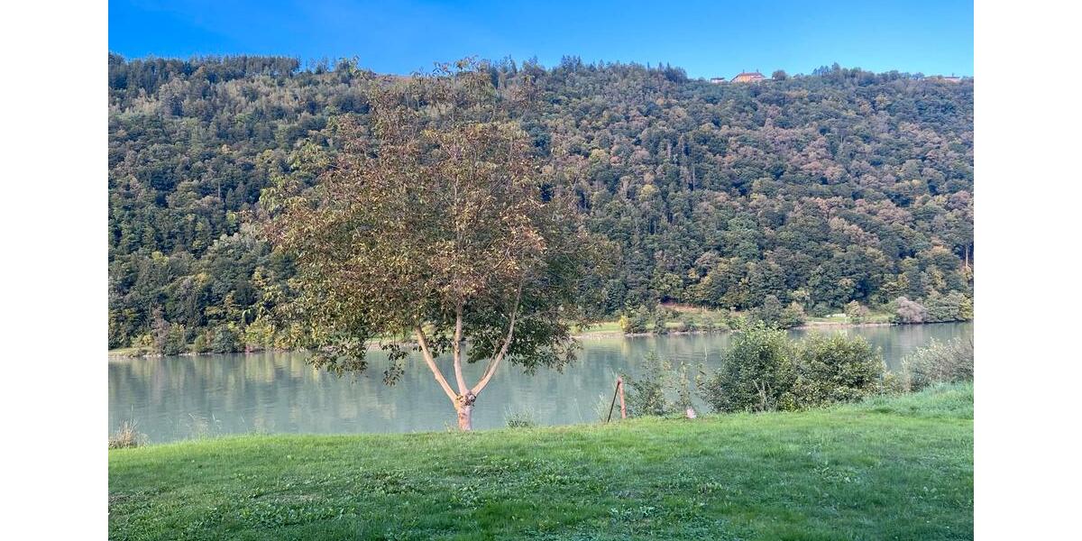 Einfamilienhaus Passau Maierhof - 5 Zimmer, 300 m&sup2;, 1.800&euro; | Angebot:22567372