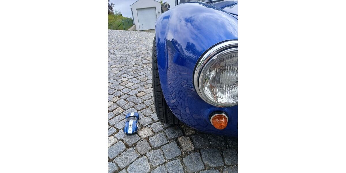 Cobra Andere 83.000 km 48.000 &euro; Tiefenbach/Passau 94113