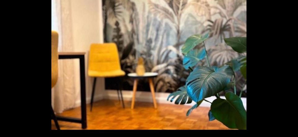 Erdgeschoßwohnung Freyung - 1 Zimmer, 20 m&sup2;, 435&euro; | Angebot:25872196